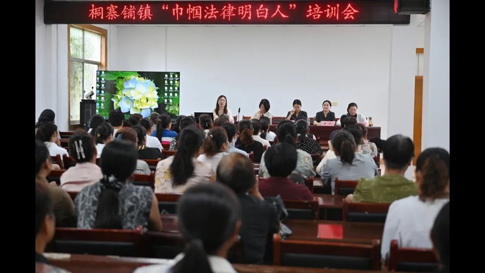 河南省南阳市唐河县法院桐寨铺法庭：“法润乡禾”护沃野 “三段解纷”绘善治