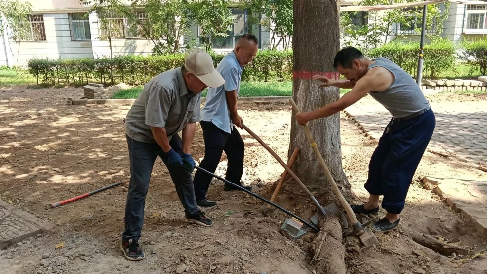 银川卓达物业服务有限公司：脚下道路更安心 初心守护有温度