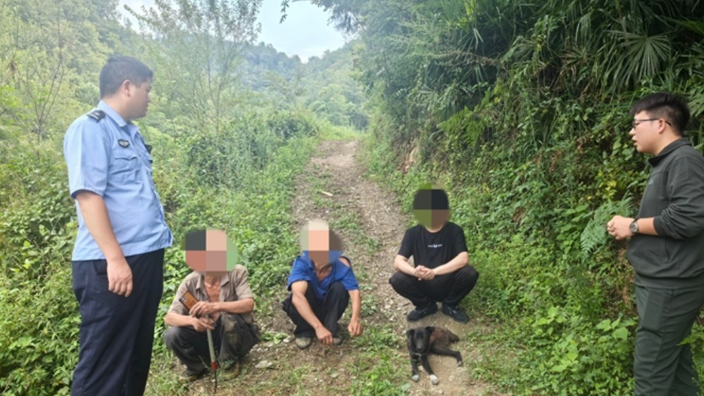 西乡：警民联动紧急搜救 八旬老人平安归家