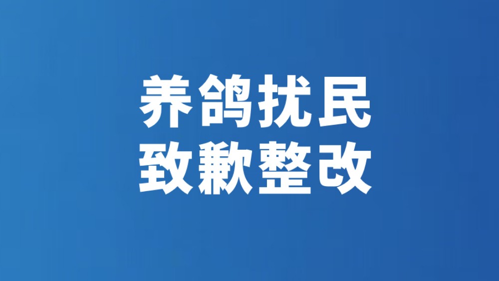 养鸽扰民 致歉整改