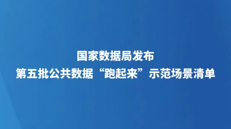 国家数据局发布第五批公共数据“跑起来”示范场景清单