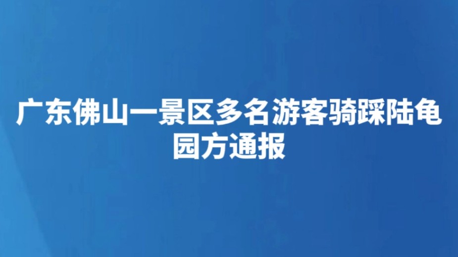 广东佛山一景区多名游客骑踩陆龟 园方通报