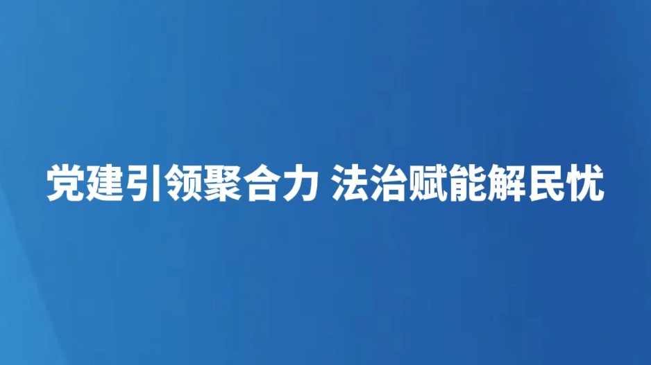 党建引领聚合力 法治赋能解民忧