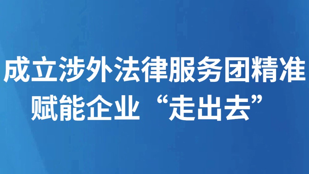 成立涉外法律服务团精准赋能企业“走出去”