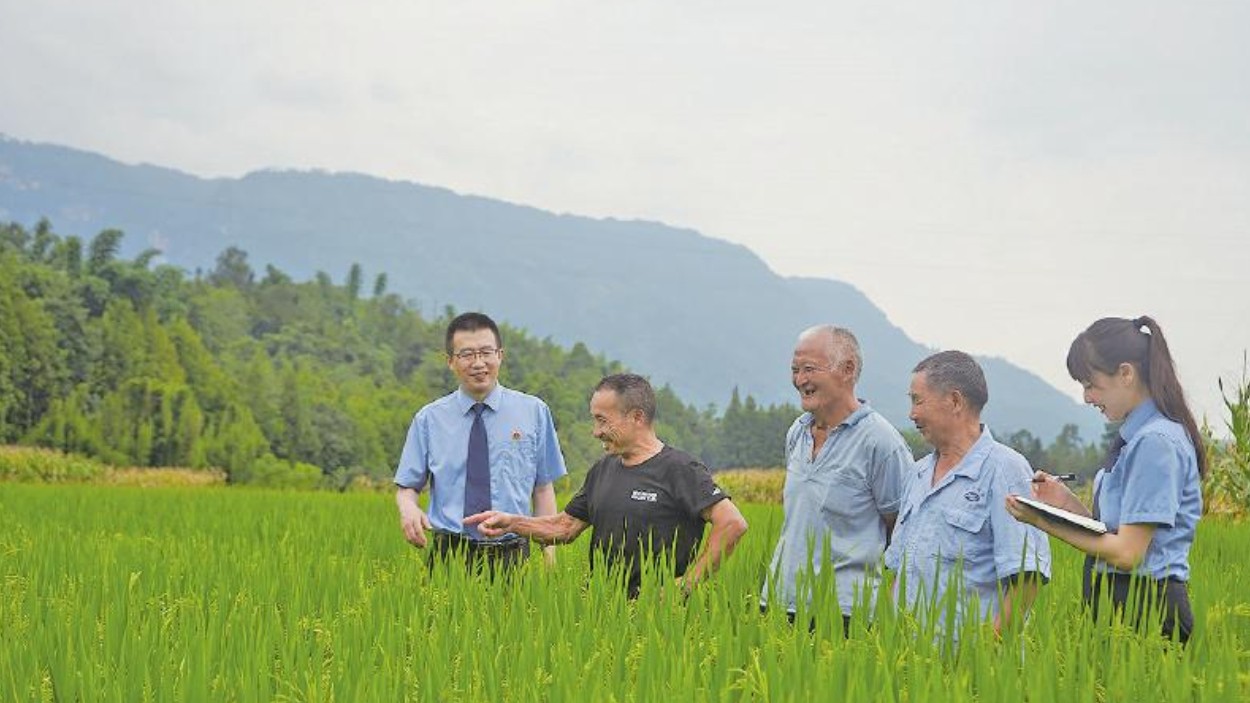 此心安处是四川