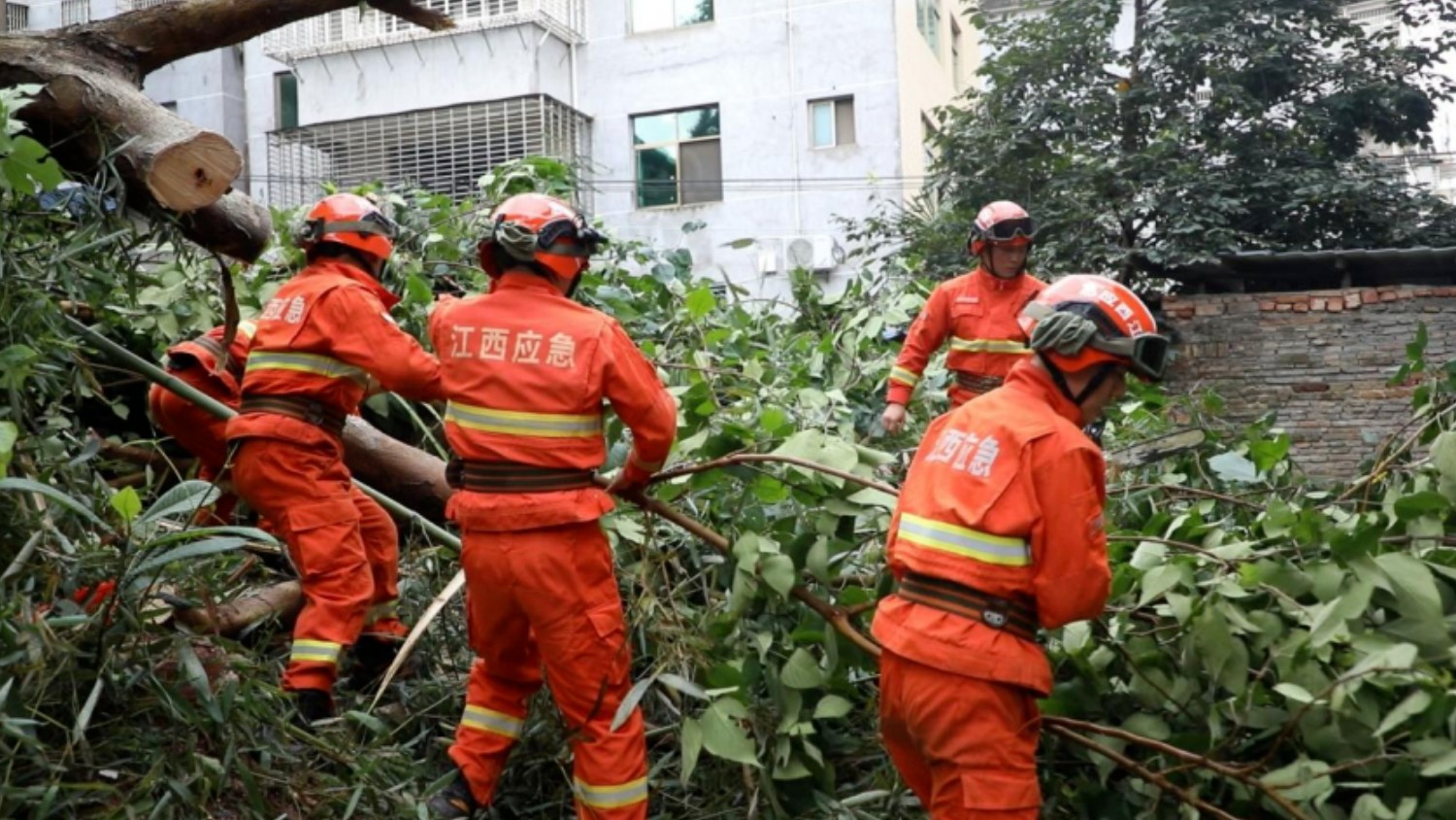 赣州各地积极应对强降雨天气 筑牢汛期安全防线