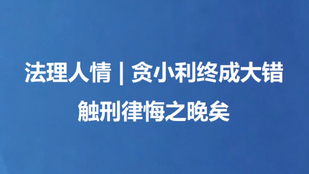 法理人情 | 贪小利终成大错 触刑律悔之晚矣
