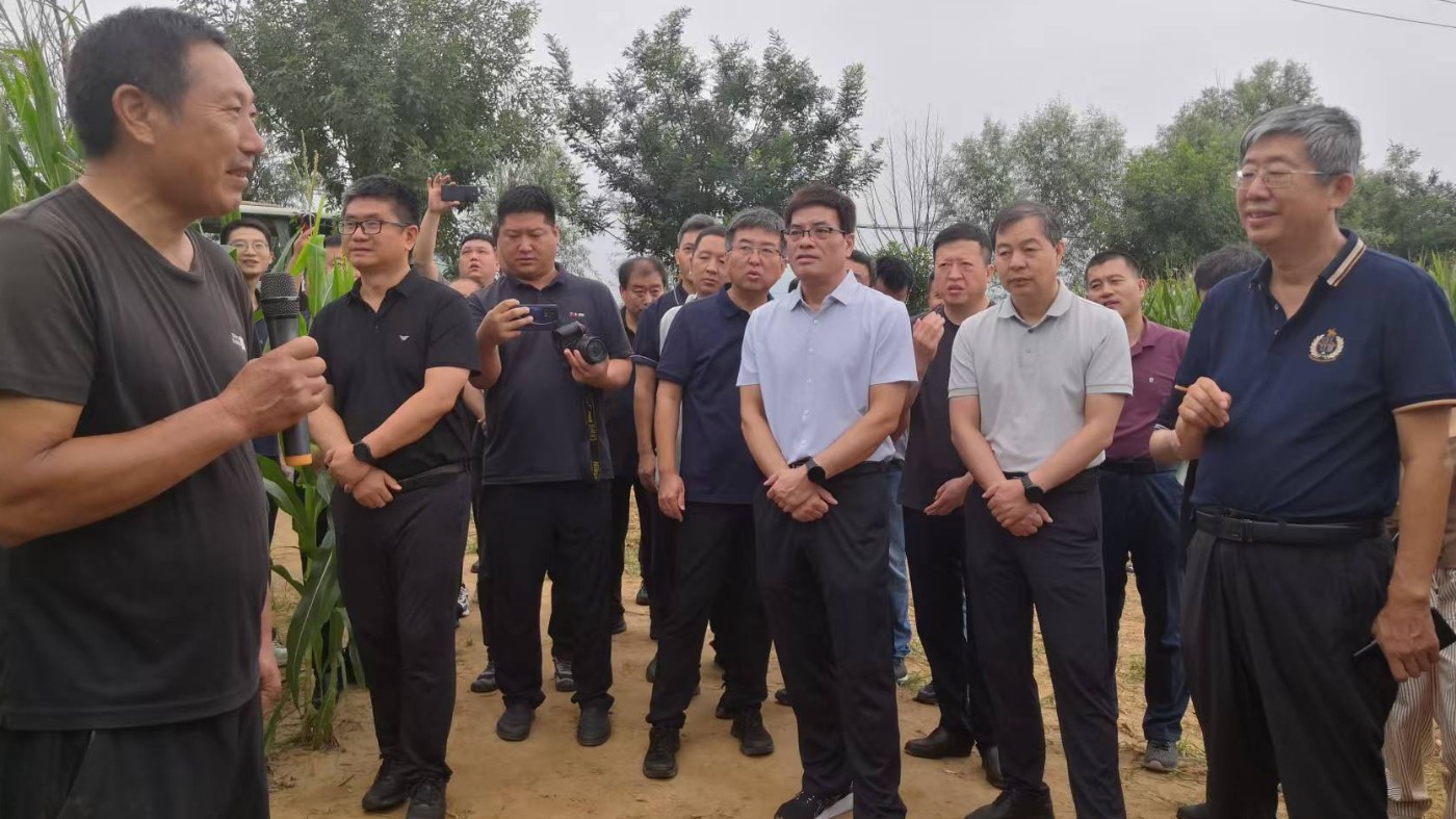 河北省粮油作物大面积单产提升观摩会深度解读成安增产实践