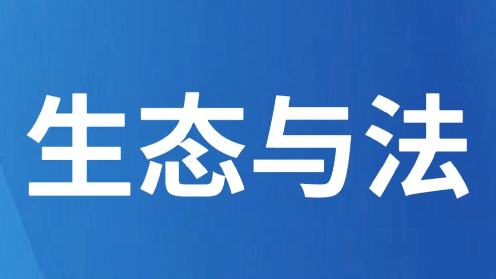景迈山：青年创客筑梦古茶林