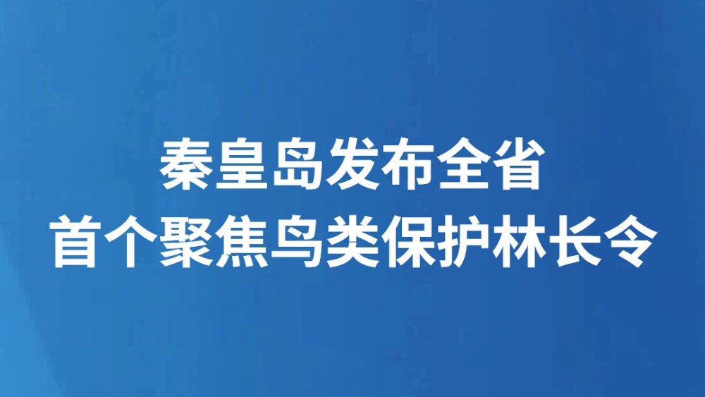 秦皇岛发布全省首个聚焦鸟类保护林长令