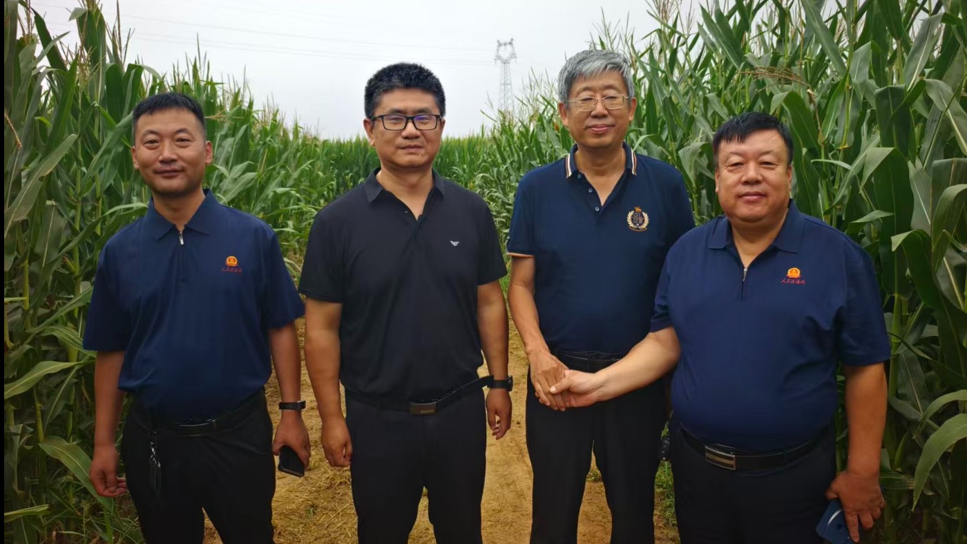 河北省粮油作物大面积单产提升现场观摩会议在成安县召开