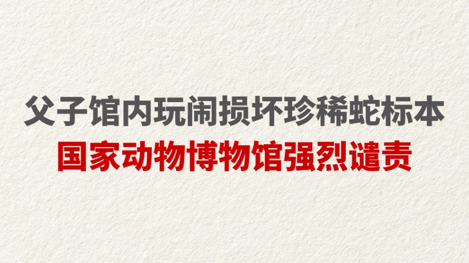 父子馆内玩闹损坏珍稀蛇标本 国家动物博物馆强烈谴责