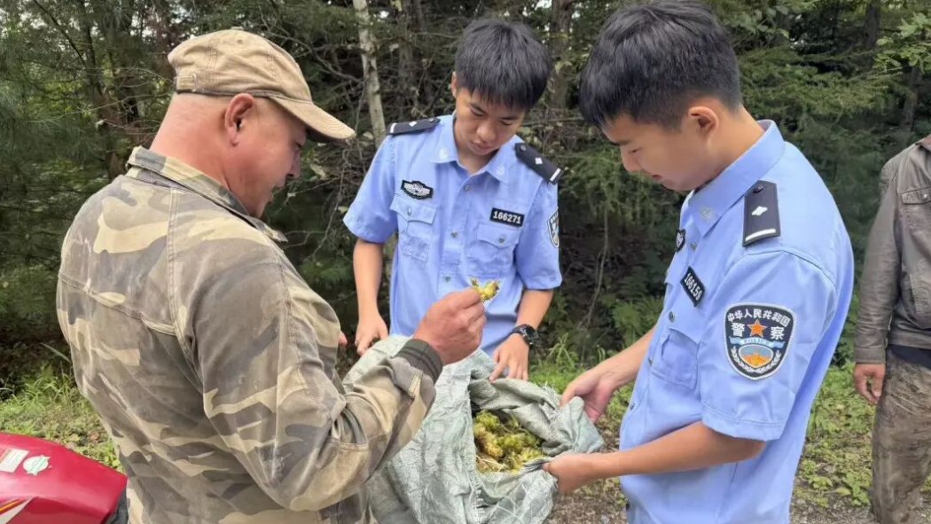 省林区公安局鹤立分局：常态化巡护不松懈 筑牢生态安全屏障