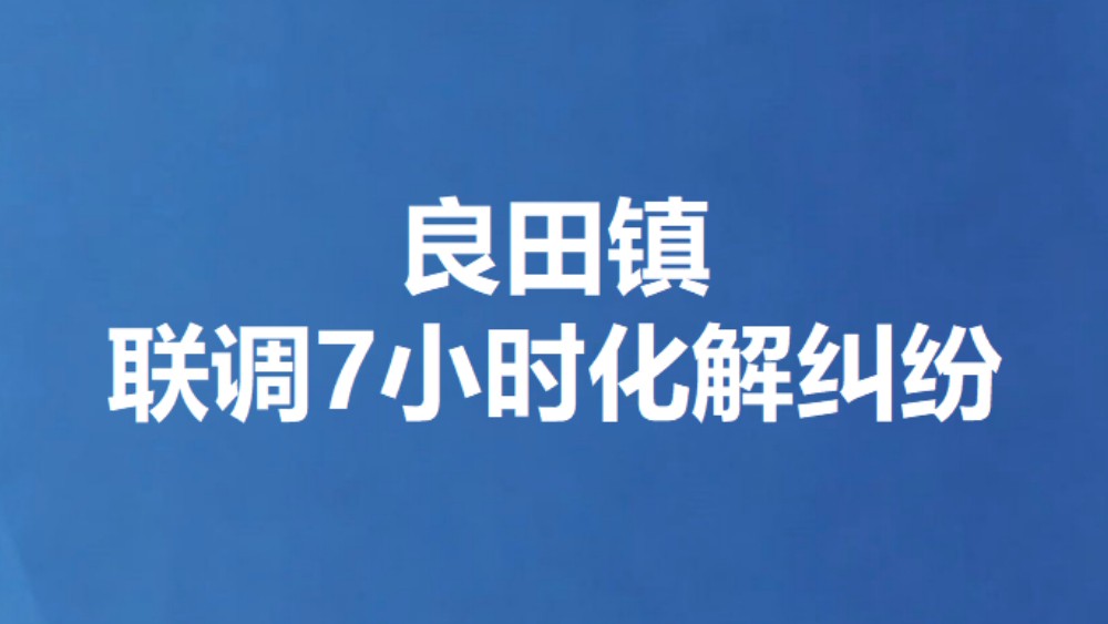 良田镇联调7小时化解纠纷