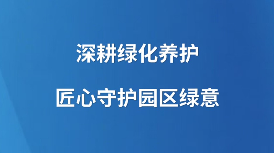 深耕绿化养护 匠心守护园区绿意