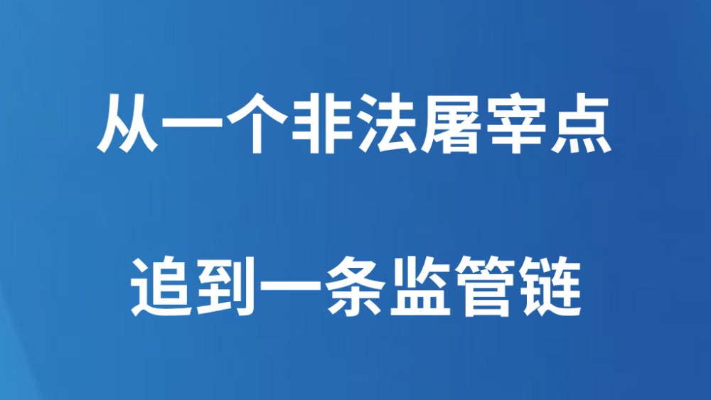 从一个非法屠宰点追到一条监管链