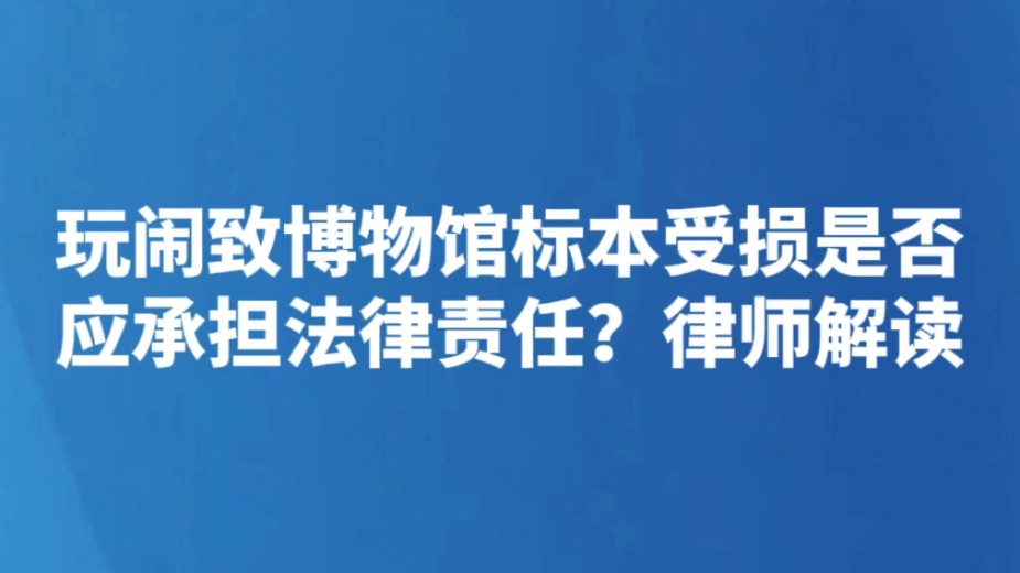 玩闹致博物馆标本受损是否应承担法律责任？律师解读