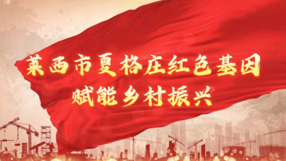红色基因 赋能乡村振兴