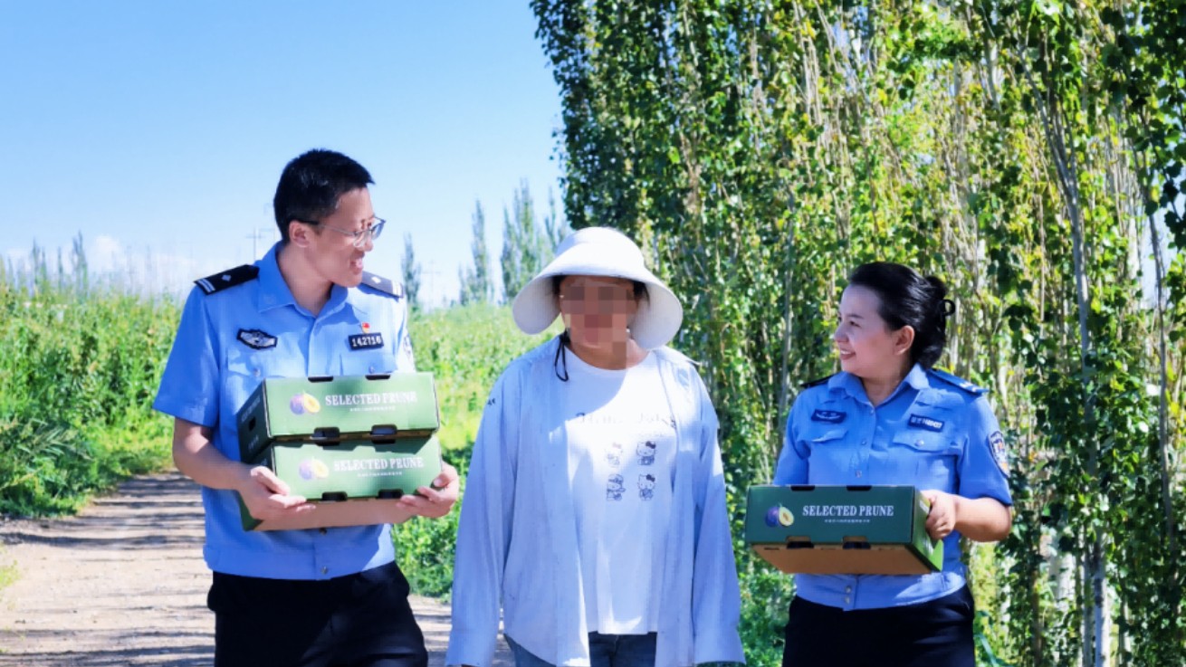 新疆阿克苏市公安局出入境管理大队：暖心助农采收西梅 出入境服务送到田间地头