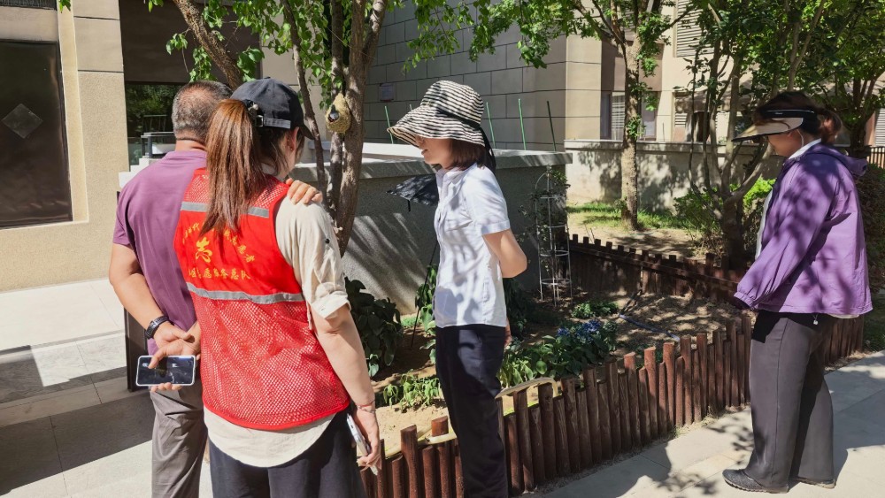 银川市金凤区世悦社区：巧解毁绿占绿“美学难题” 温情实践守护公共空间