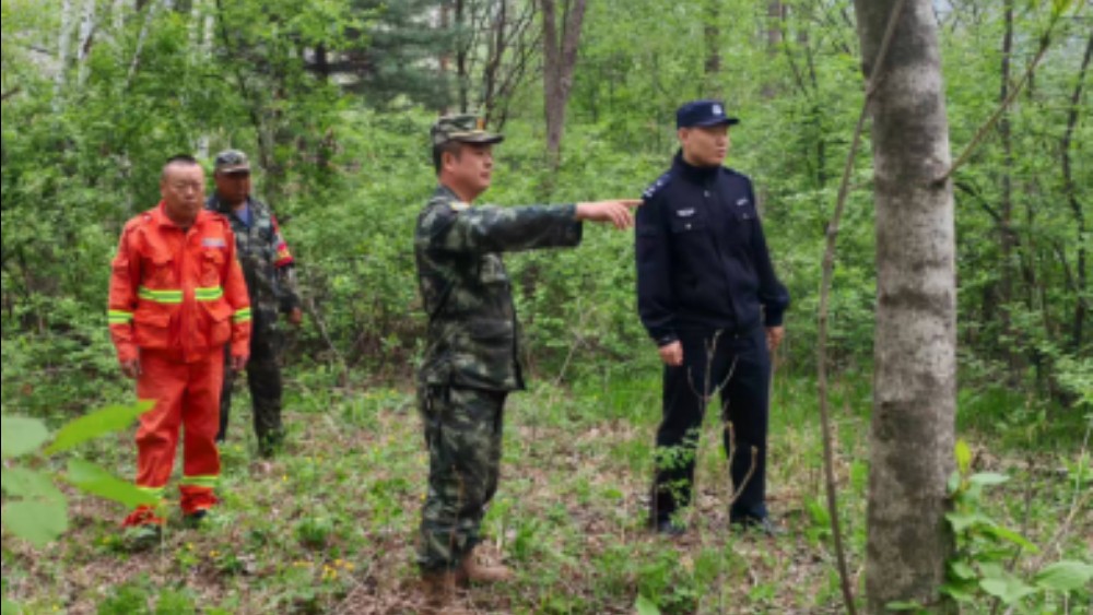 省林区公安局双鸭山分局：警蓝守青山 联勤护生态