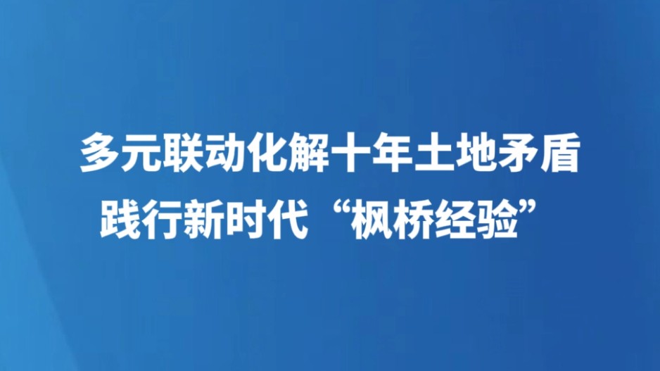 多元联动化解十年土地纠纷 践行新时代“  枫桥经验”