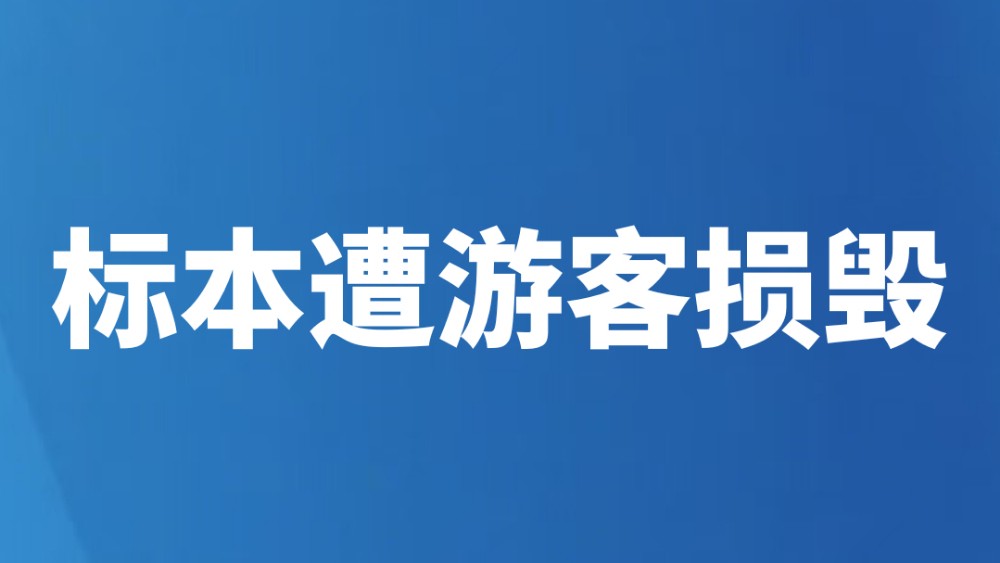 标本遭游客损毁