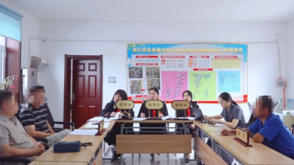 吉林省图们市法院：巡回审判进乡村 以案护绿守生态