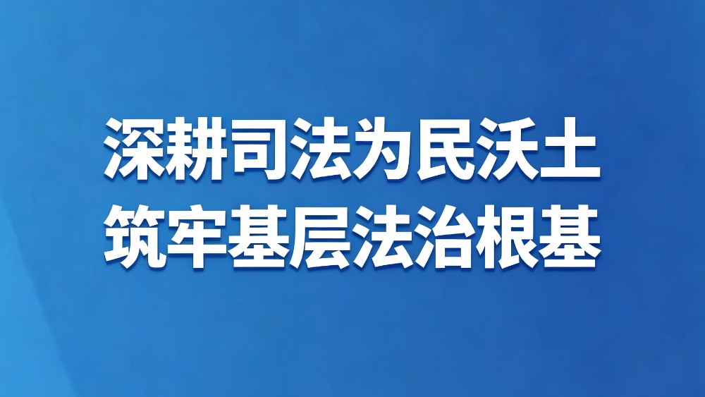 深耕司法为民沃土 筑牢基层法治根基