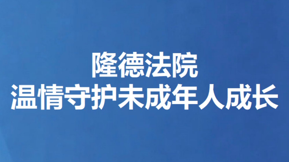隆德法院温情守护未成年人成长