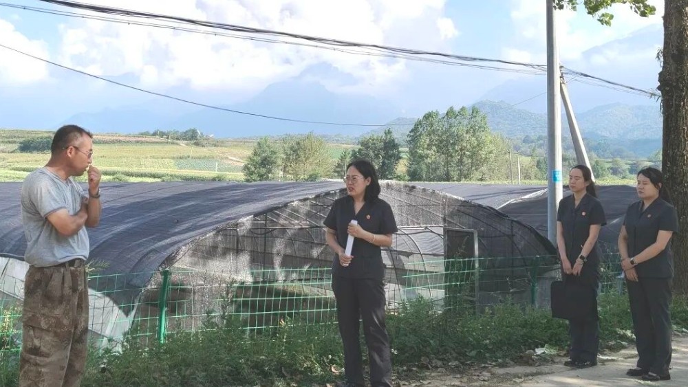 太白法院：司法回访进贝母基地 护航中药材产业发展