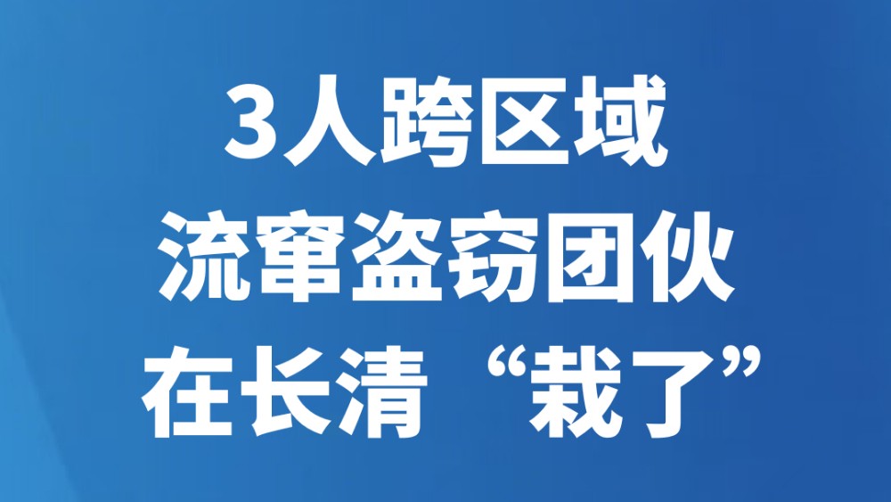 3人跨区域流窜盗窃团伙在长清“栽了”