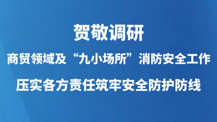 贺敬调研商贸领域及“九小场所”消防安全工作 压实各方责任筑牢安全防护防线