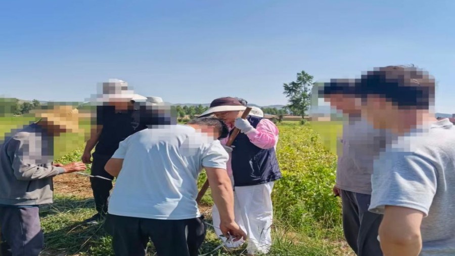 温情调解化积怨 厘清地界护亲情