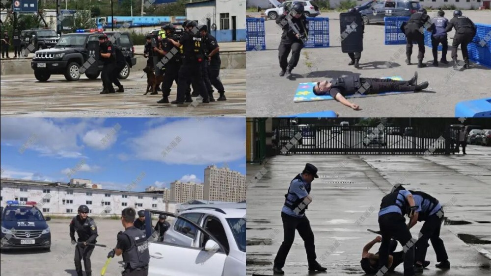 牡丹江市圆满完成“砺剑2026—龙江行动”反恐怖战术综合实战演练
