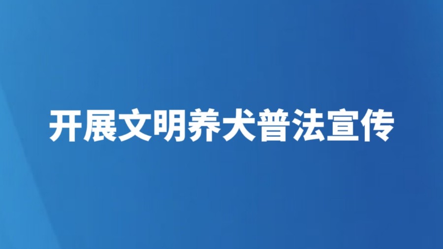开展文明养犬普法宣传