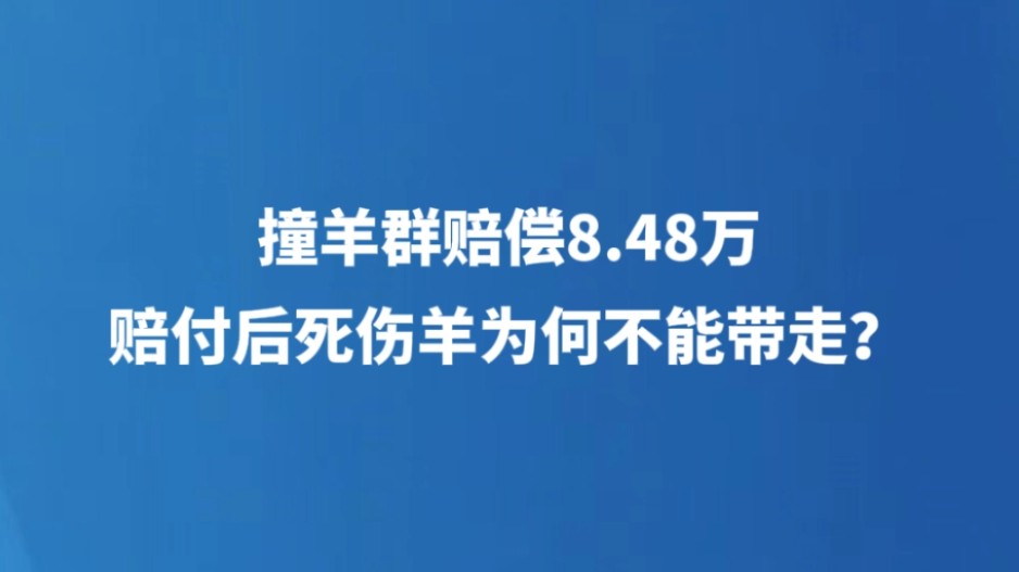 撞羊群赔偿8.48万 赔付后死伤羊为何不能带走