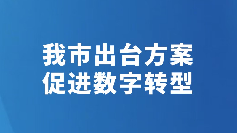 我市出台方案 促进数字转型