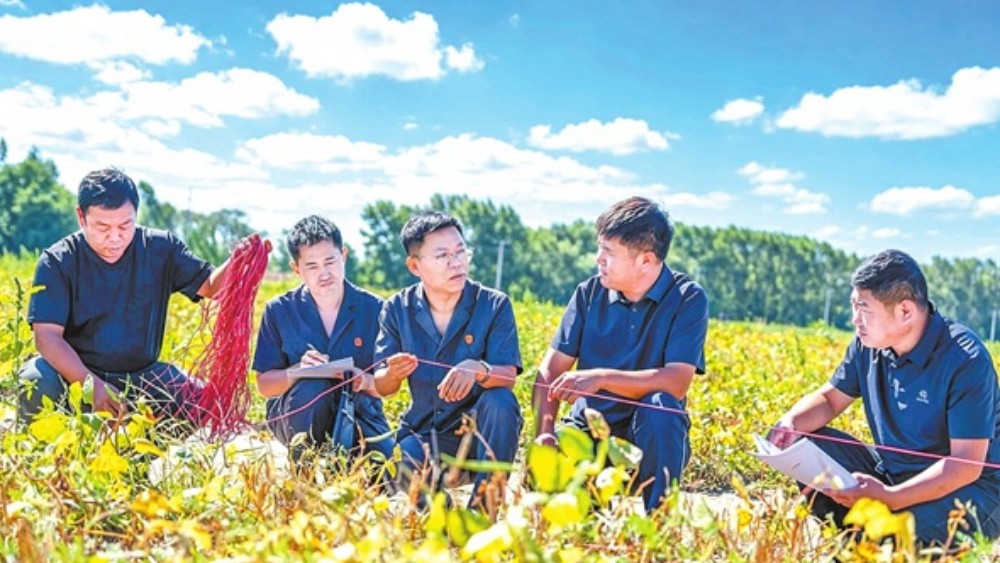 现场勘验受药害地块