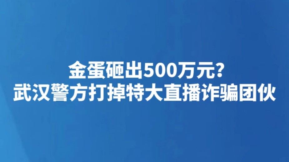 金蛋砸出500万元？武汉警方打掉特大直播诈骗团伙