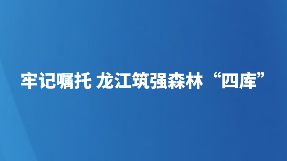 牢记嘱托 龙江筑强森林“四库”