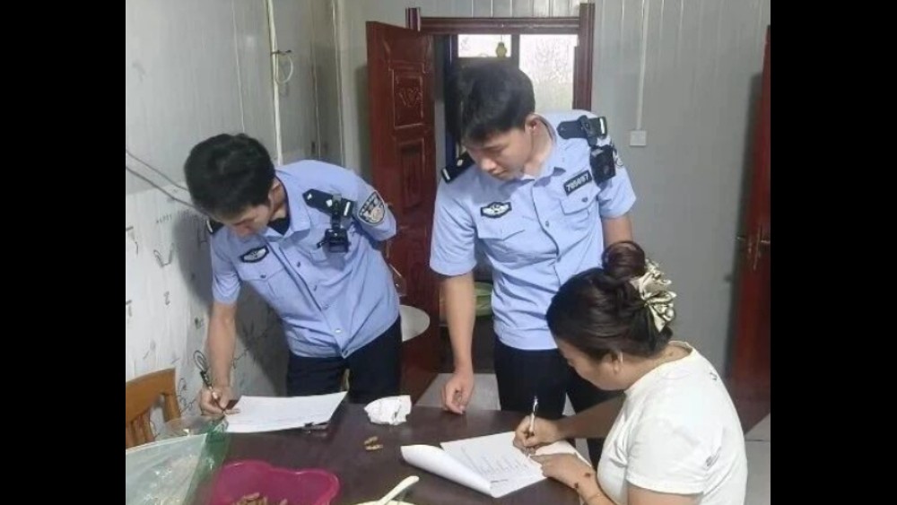 吉林扶余公安更新派出所：深耕麻将馆乱象整治 筑牢扫黑除恶农村防线