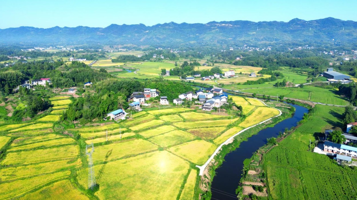 达州市达川区：秋日田园的丰收盛景