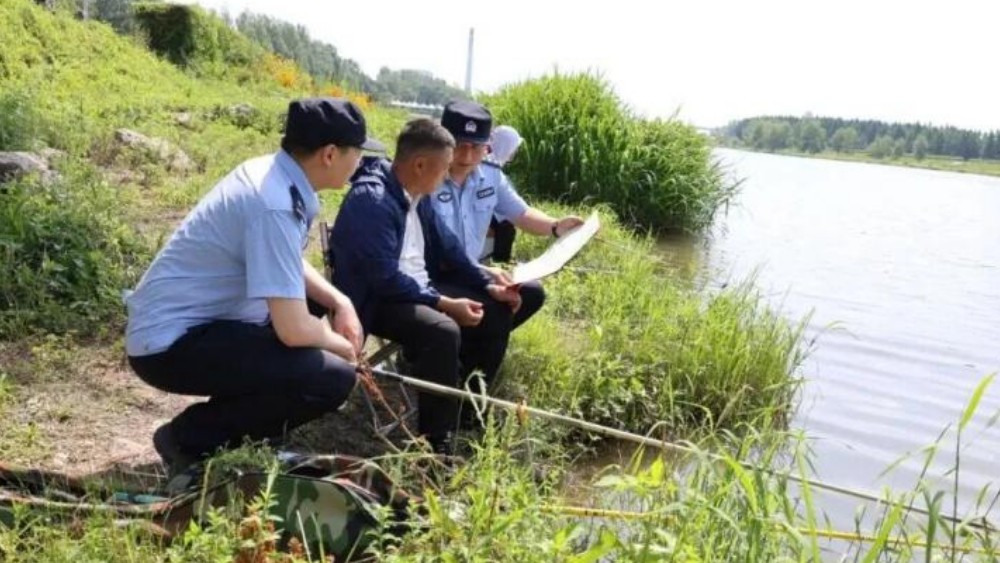 伊春公安：深耕生态警务建设 绘就绿色共治画卷