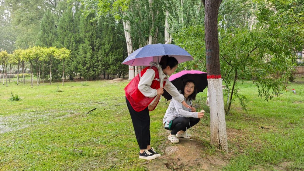 银川市兴庆区康平社区：雨后野菌莫乱采 严防中毒保平安