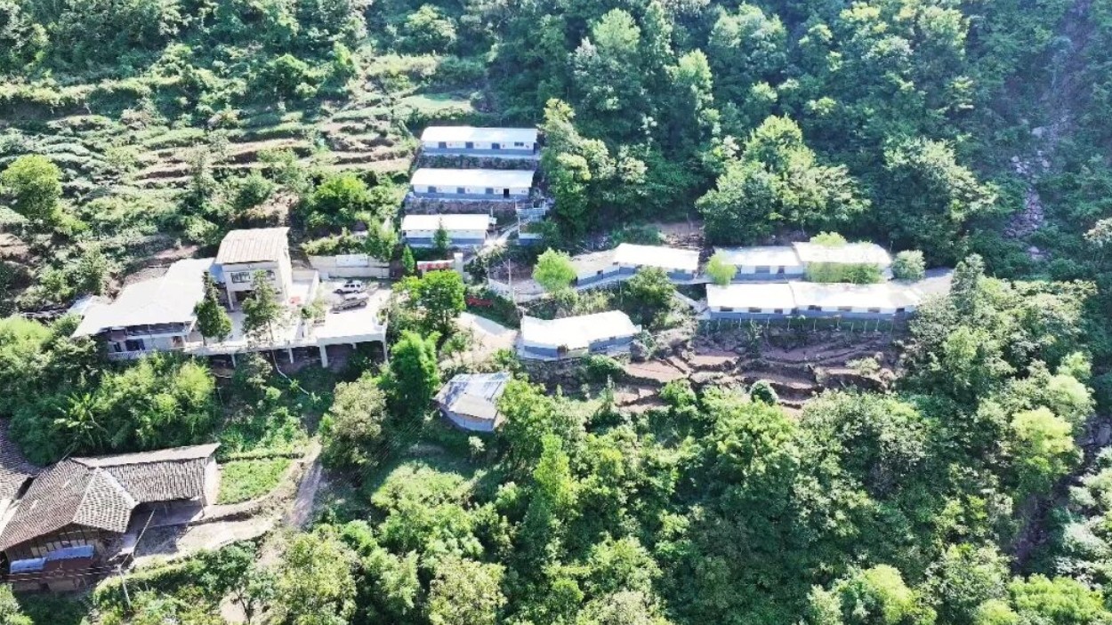 万源竹峪镇藏了个“音乐鸡舍”，4.5万只土鸡听轻音乐长大