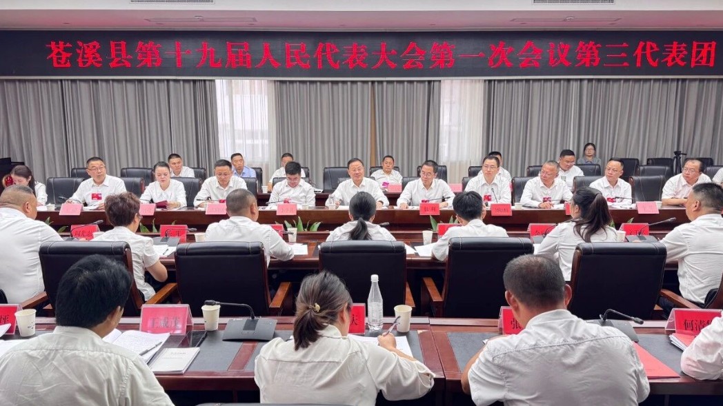 何兴旺参加第三代表团审议