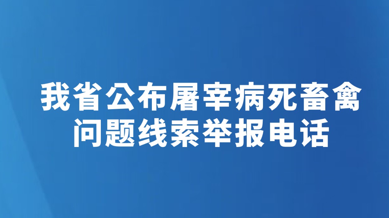 我省公布屠宰病死畜禽问题线索举报电话