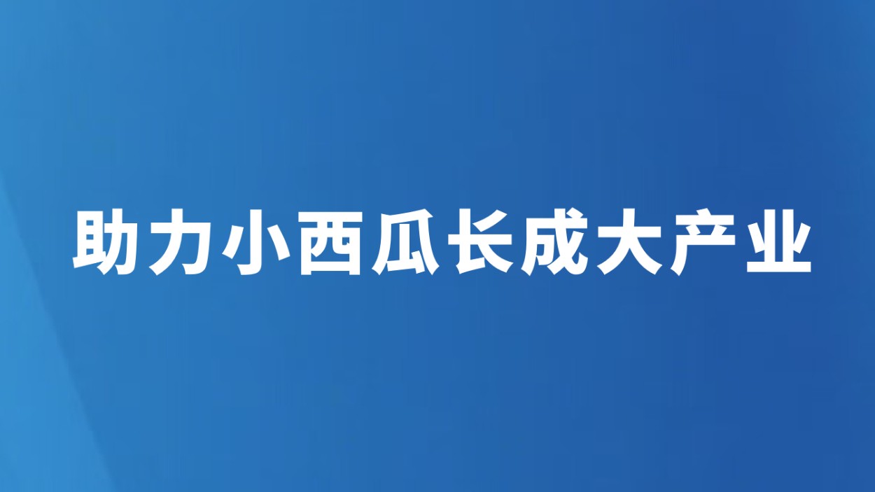 助力小西瓜长成大产业