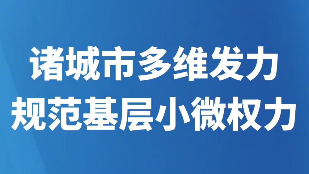 诸城市多维发力规范基层小微权力